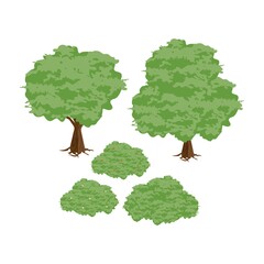 Trees