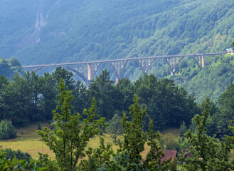 Fototapeta na wymiar Summer misty mountain landscape with bridge (Tara Canyon, Montenegro).