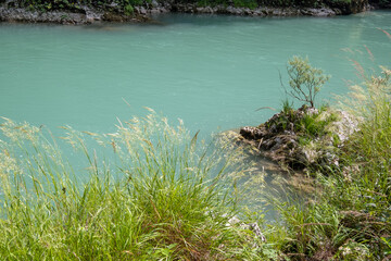 River at the bottom of Tara Canyon (Montenegro), summer landscape.