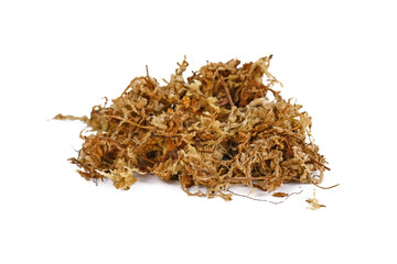 Pile of wet 'Sphagnum' moss used for plant propagation or terrarium on white background