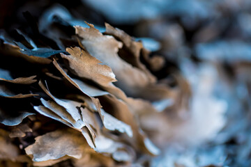 Burnt Paper stack close up, macro background - 353567873