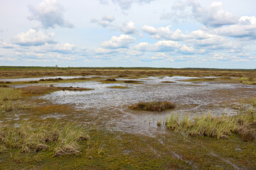 landscape with river