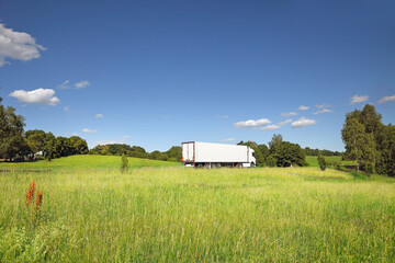 Truck transport on the road and cargo