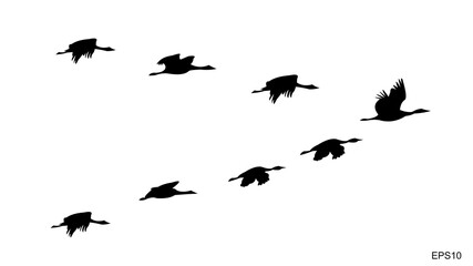 flocks of flying birds.silhouette style.vector illustration