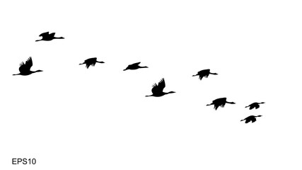 flocks of flying birds.silhouette style.vector illustration