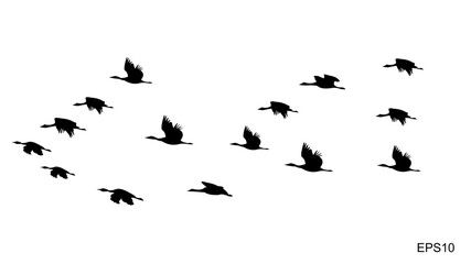 flocks of flying birds.silhouette style.vector illustration