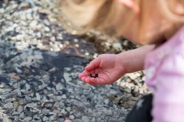 Side view of young girl catching and observing tadpoles in a lake.