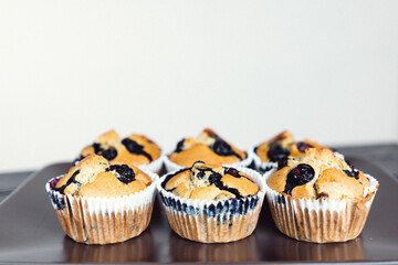 Blueberry muffin cupcakes