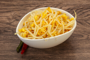 Soy sprout heap in the bowl