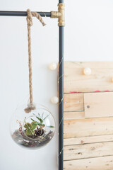 round pot with cactus in the room