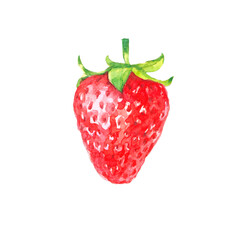 Red strawberry. Colorful watercolor illustration isolated on white background.