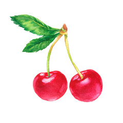 Red cherry berries. Colorful watercolor illustration isolated on white background.