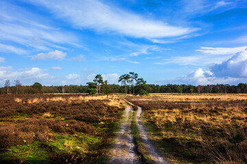 Landscape at Den Treek near Amersfoort, Netherlands
