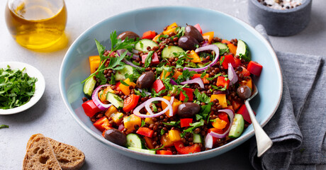 Lentil salad with mix vegetables in bowl. Grey background. Close up.