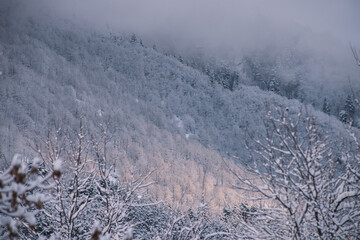 Snowy Sunny Morning In The Ski Resort