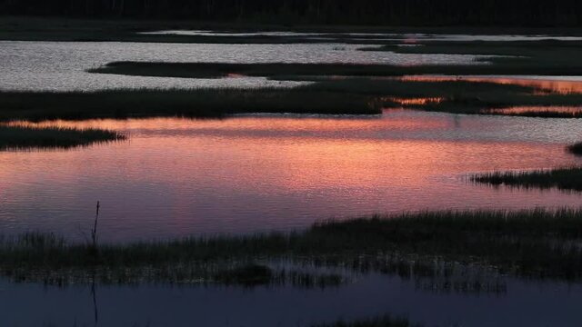 Hamra National Park Evening Lake at Sunset