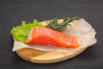 Piece of raw salmon