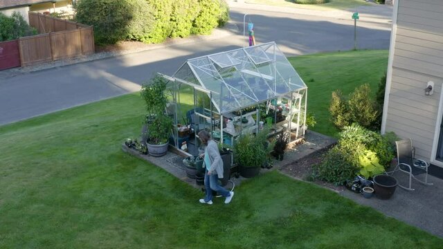 Gardening glasshouse with elderly female gardener watering seedlings and plants. Orbiting drone of hothouse in the backyard. Freshly cut lawn in the sunset. Landscape view of plants 
