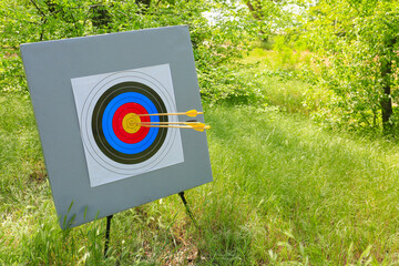 Target for archery with arrows in forest