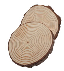 Tree trunk cross section, wooden stumps isolated on white background with clipping path