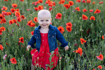 little baby girl on the field of poppies