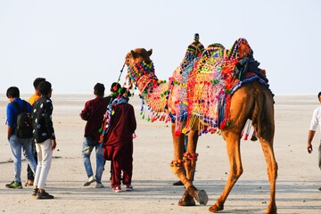 Tourism Place White dessert of Kutch, Gujarat, India