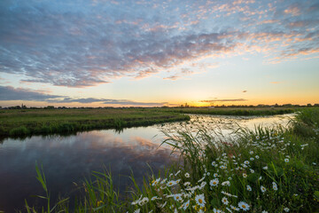 Sunset with colorful clouds over the countryside near Gouda, Holland. Beautiful wild flowers grow along the waterfront in the foreground.