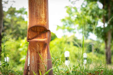 Old rusty pillar stands on a blurred natural green background.