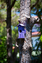 Wooden birdhouse on a tree trunk in the park.