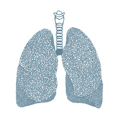 Lungs. Respiratory system hand drawn vector illustration. Lungs vintage style sketch drawing. Part of set.