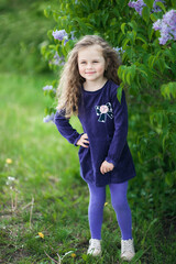 Fototapeta premium Cute toddler girl with loose curly hair among the bushes of lilac with bunches of flowers