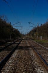 Fototapeta premium railway going into perspective in the forest