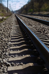 railway going into perspective in the forest