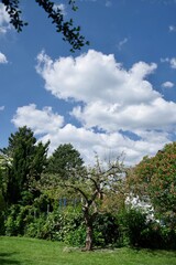 Gartenlandschaft