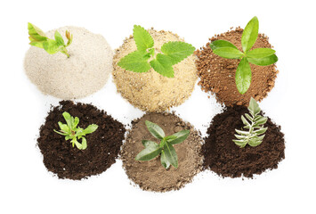 Heaps of different soils with young plants on white background
