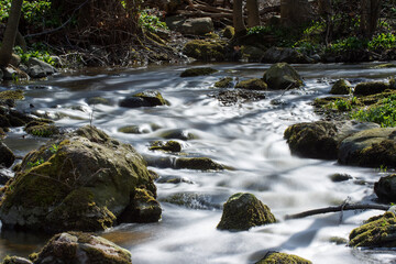 River in forest landscape, Long exposure