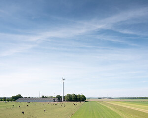 horses near farm and wind turbines in dutch province of flevoland under blue sky in spring