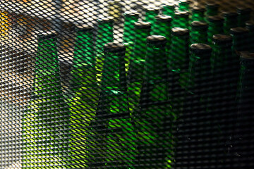 beer bottles in a box
