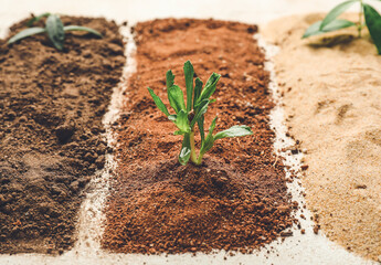 Different types of soil with plants on light background, closeup