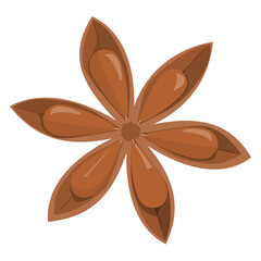 Star anise. Brown aromatic organic spice isolated