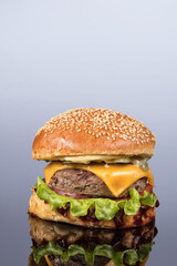 Burger With Vegetables