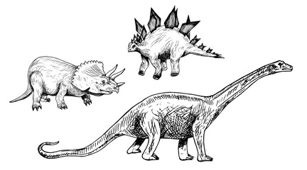 Plant-eating dinosaurs set: Triceratops, Stegosaurus, Diplodocus, hand drawn black and white doodle sketch, ink drawing illustration © ArtoPhotoDesigno