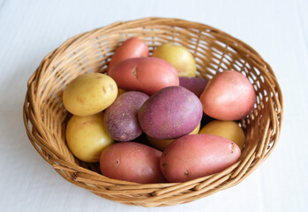 Potato in Variety Colors
