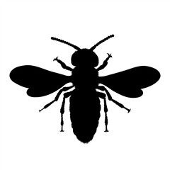 Vector silhouette of bee on white background. Symbol of animal.