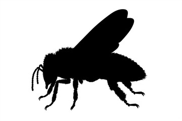 Vector silhouette of bee on white background. Symbol of animal.