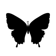 Vector silhouette of butterfly on white background. Symbol of animal.