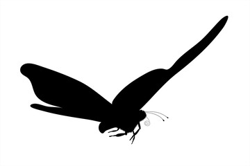 Vector silhouette of butterfly on white background. Symbol of animal.