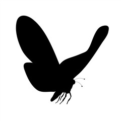 Vector silhouette of butterfly on white background. Symbol of animal.