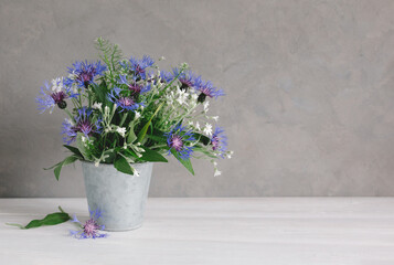 Romantic bouquet of cornflowers in a vintage pot on a grey background.