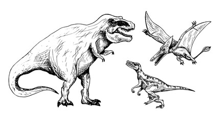 Predator dinosaurs set: Tiranosaurus, Velociraptor, Pterodactyl, hand drawn black and white doodle sketch, ink drawing illustration © ArtoPhotoDesigno